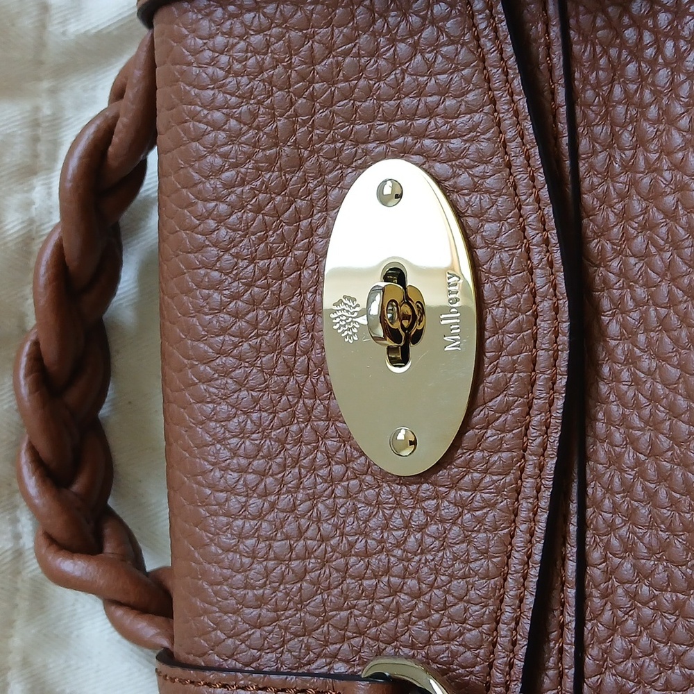 Mulberry Mini Alexa Heavy Grain - Picture 4 of 11